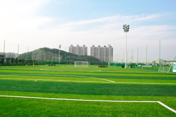 广州番禺兴南大道菲客人造草坪足球公园