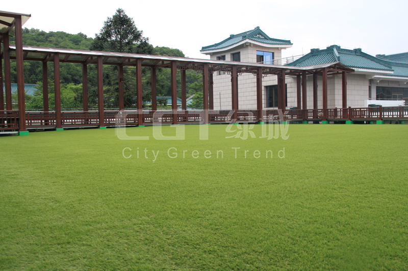 IMG_6970.JPG IMG_6970.JPG