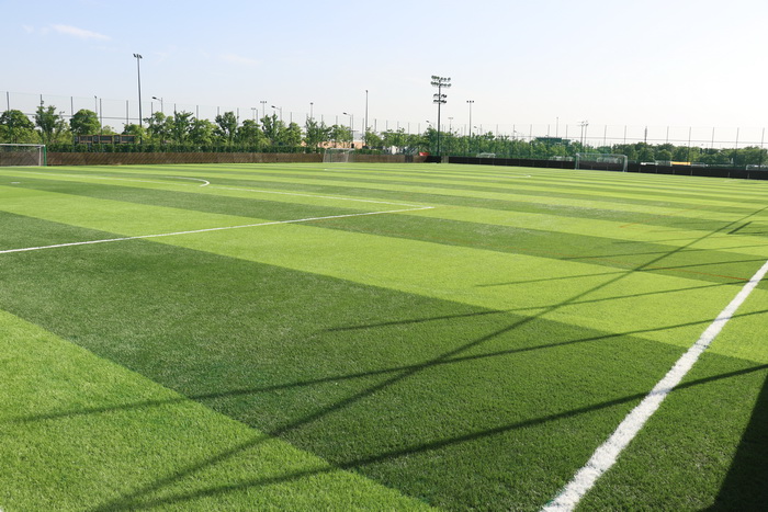 IMG_0500.JPG IMG_0500.JPG